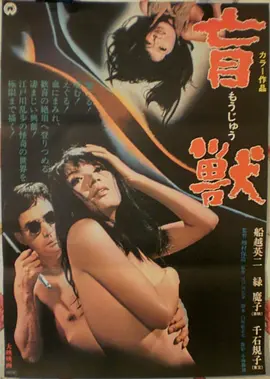 寻她